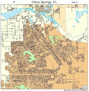 Amazon.com: Large Street & Road Map of Citrus Springs, Florida FL