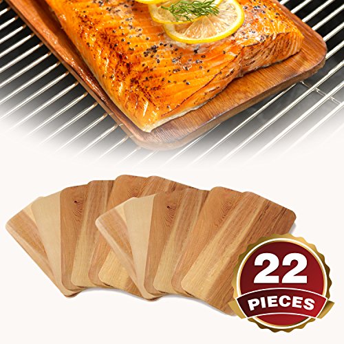 Price tracking for TrueFire Gourmet 22 Piece Set Cedar Grilling Plank