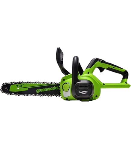 Amazon.com : Greenworks 24V 10