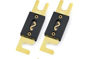 Baomain 2-Pack 60Amp ANL Fuse for Car Vehicles Audio System Sheet Gold Tone