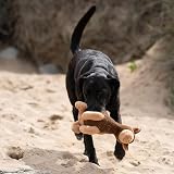 Petface Planet Carmel The Camel Plush Dog Toy view 3