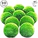 Luffy 10 Marimo Moss Balls - Jumbo Pack of Aesthetically Beautiful Plants - Create Healthy Environment for Aquatic Pets - Low Maintenance Live Plant - Shrimps & Snails Love Them