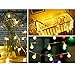 Battery Operated Globe String Lights, CMYK 14.6ft 40 LED Waterproof Fairy Lights Backyard Patio Lights, Decor for Trees, Garden, Party, Christmas, Holiday (Warm White)