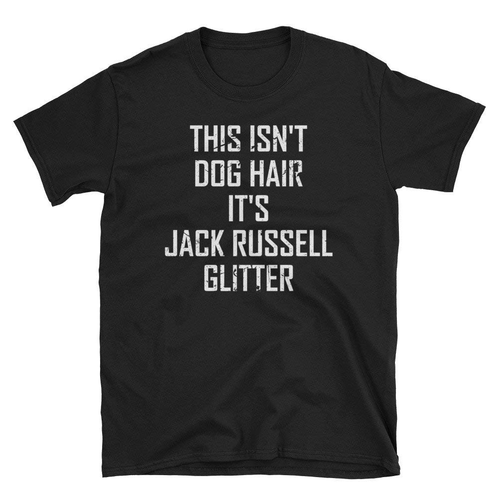 Long Hair Vs Short Hair Jack Russell Wavy Haircut