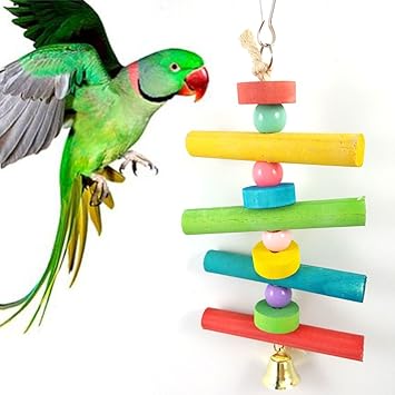 Longyu Oiseau Mâcher Jouet Perroquet Fournitures Couleur En