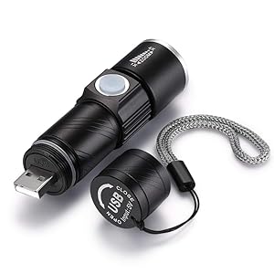 UV Blacklight Flashlights USB Rechargeable Portable Ultraviolet 395nm Led Flashlight Mini Handheld Torch Light Detector for Dog Urine, Pet Stains and Bed Bug (Black)