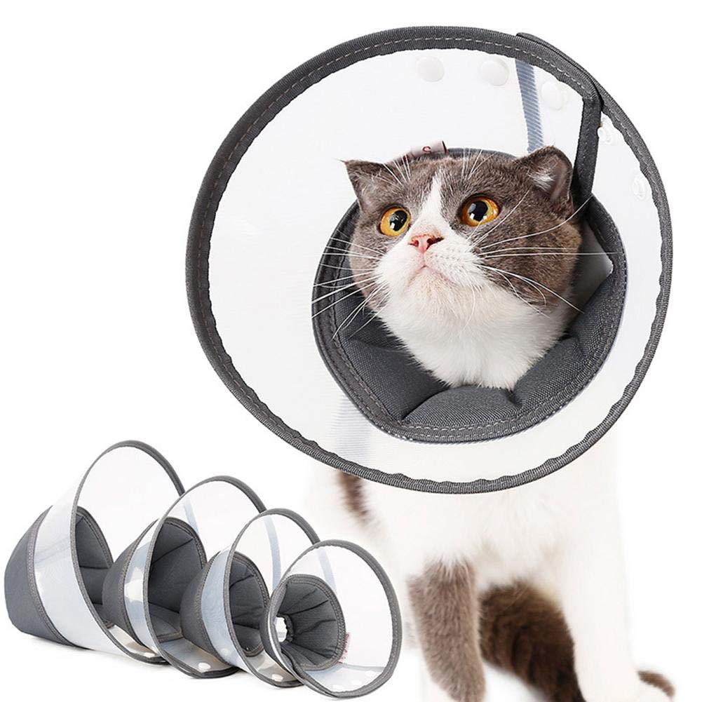 soft cat cone uk