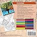 Seasons Adult Coloring Book Set With 24 Colored Pencils And Pencil Sharpener Included: Color Your Way To Calm