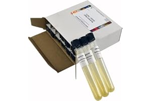 Nutrient Agar Slant Tubes, Pack of 12 - Sterile Microbiological Culture Media - The Curated Chemical Collection by Innovating