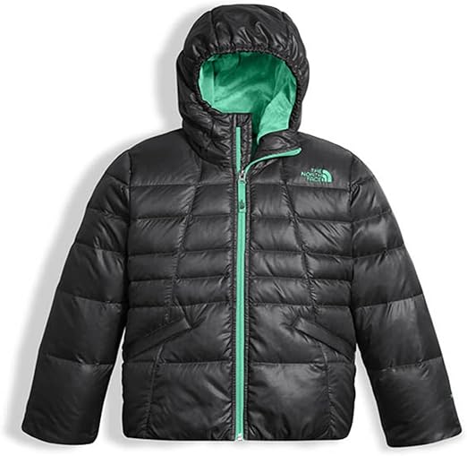 big north face coat
