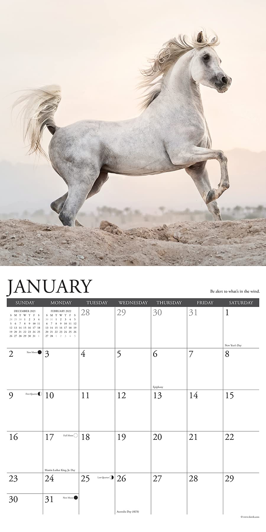 Christmas In July Sales 2022 Horse What Horses Teach Us 2022 Wall Calendar: Amazon.co.uk: Willow Creek:  9781549220067: Books