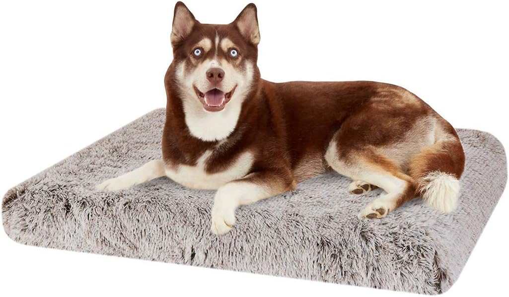 BingoPaw Memory Foam Pet Beds, Washable and Waterproof Orthopedic Mattress Dog Bed with Removable Cover
