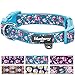 Blueberry Pet 7 Patterns Soft & Comfy Rose Print Cerulean Blue Padded Adjustable Dog Collar, Medium, Neck 14.5