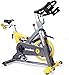 L-NOW pooboo D501 Indoor Cycling Bike