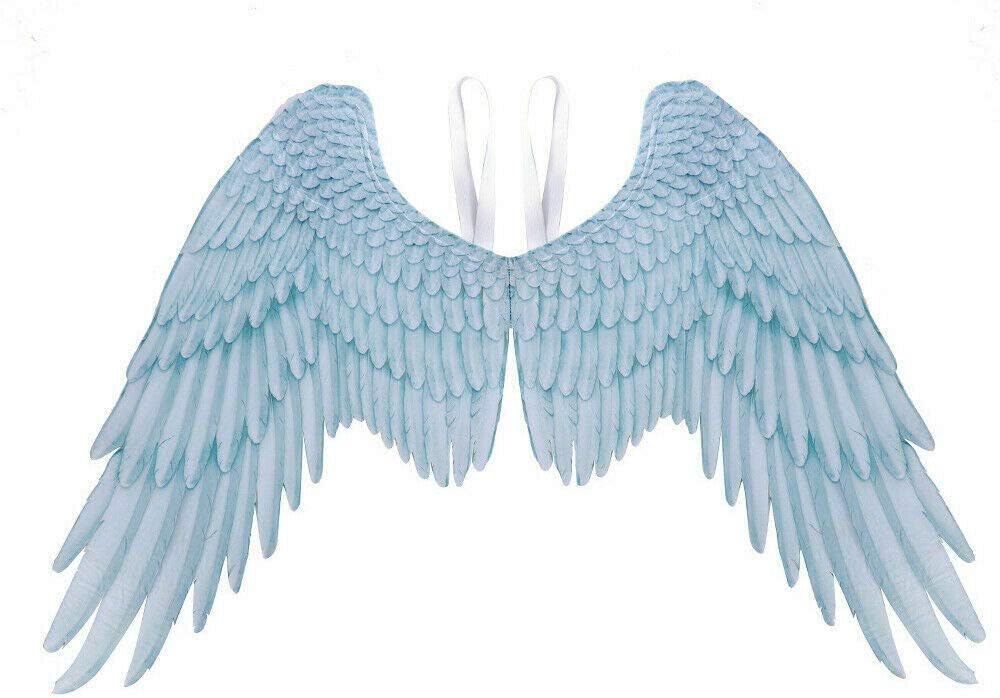 Vicky Wheeler Angel Wings Feather Halloween Cosplay Party Costumes for Kids Adults Women Men (Adult, White)