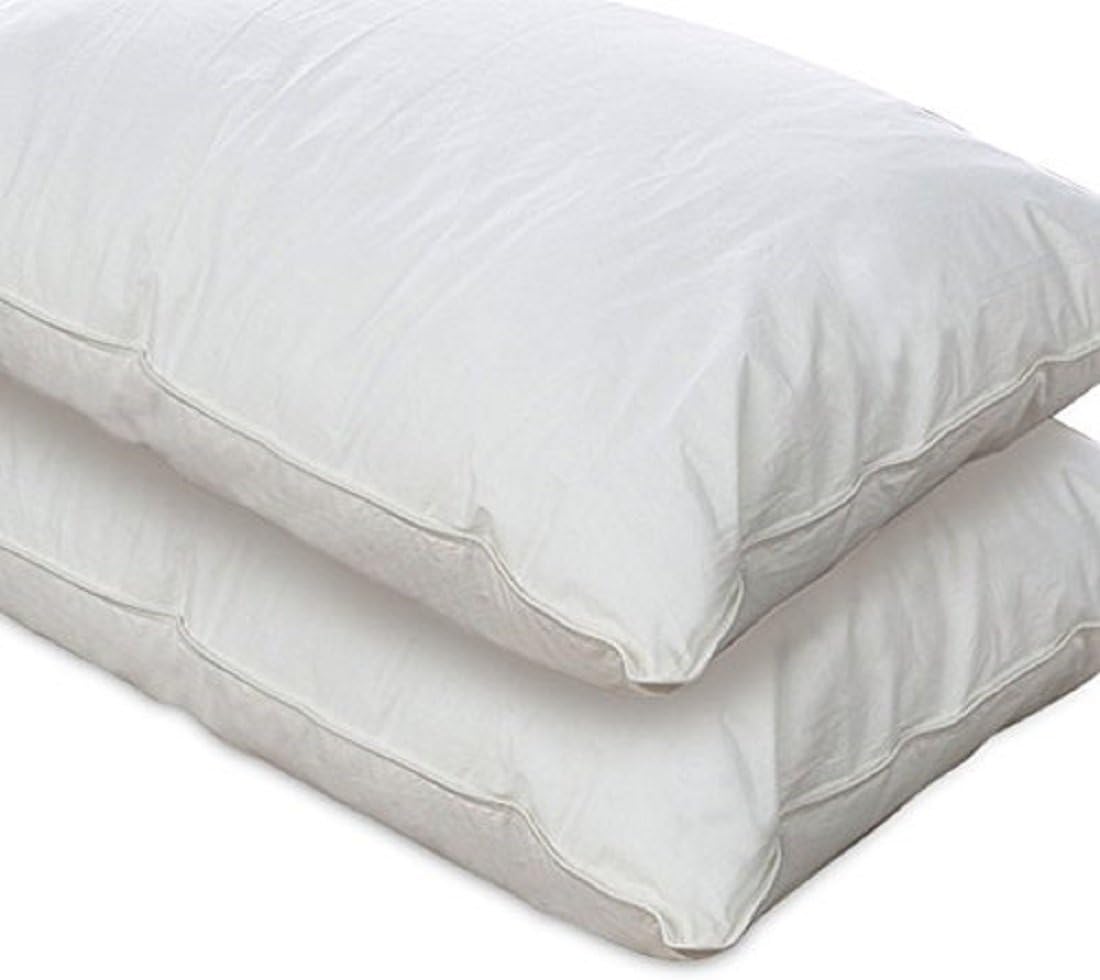 Sweet Dreams Plus Hypoallergenic Slumber Down Alternative Pillows, Queen, 2 Year Warranty, (Set of 2),
