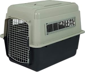 10 Places To Get Deals On Dogs Are