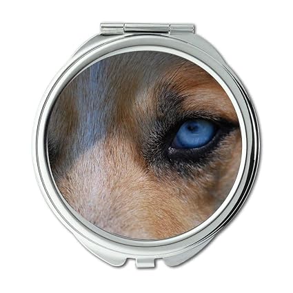 Miroir Miroir De Maquillage Yeux Animal Nature Chien Bleu