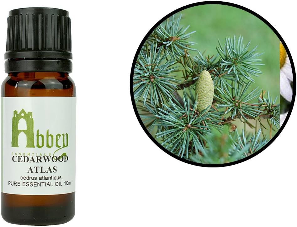 Abbey Essentials Cedarwood Atlas Essential Oil (1 Litre)
