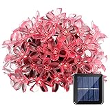 Qedertek Flower Solar Outdoor String Lights, 21ft 50 LED Fairy Blossom Christmas Lights Decorative Lighting for Indoor, Home, Garden, Patio, Lawn, Party and Holiday Decoration (Red)