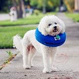 Emwel Pet Inflatable Collar for X-Large Dogs Comfy Recovery Cone XL view 7