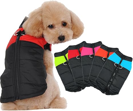 Zearo Chien Vêtements Petit Chien Chiot Chihuahua Chien