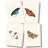 Earth Sky + Water - Western Butterfly Assortment II Notecard Set - 8 Blank Cards with Envelopes (2 each of 4 styles)