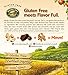 Nature's Path Organic Gluten Free Chewy Granola Bars, Sweet & Salty, Chunky Chocolate Peanut, 6.2 Ounce Box