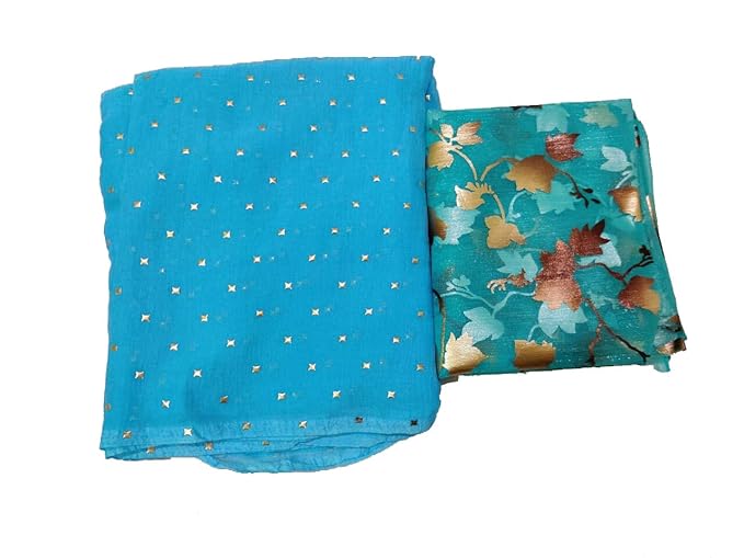 Womens Pure Nazamin Chiffon Saree with Organza Blouse Piece| Sky Blue