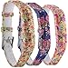 Huishang Flex 2 Accessory Bands for Fitbit Flex 2 / Fitbit flex2, with Chrome Claspor Soft Silicone Bracelet Straps,Wrist Band Adjustable Repalcement (Rose,Owl,Water)
