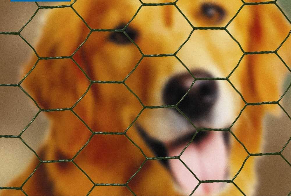 Apollo 10m 500 x 50mmWire Netting PVC Coated Galvanised