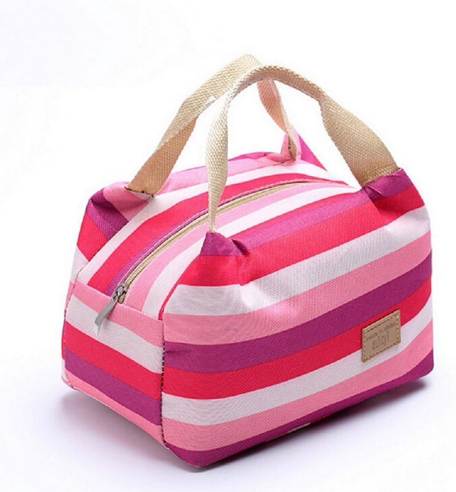 cheap4uk Lunch Bag Waterproof Picnic Tote Bag Insulated Lunch Cooler Bag Lunch Holder Lunch Container Bento Organizer for Women, Teens, Girls, Kids, Baby, Adults