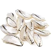 QSLLER 10pcs Natural Conch Shell Beads Multicolor Sea Shell Beads For Making DIY Craft Fish Tank Aquarium Ornaments