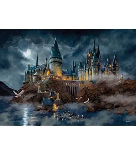 Amazon.com: Displate Official Harry Potter Metal Poster Magnetic