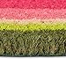 DII Colorful Design Natural Coir Doormat, 18x30, Watermelon