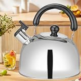 RAM 3L Heavy Duty Camping Kettle Gas Stove Portable Tea Pot view 5