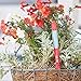 Sustee Aquameter (Pink, Medium) - Plant Moisture Meter – Soil Water Monitor, Sensor, Indicator, Probe – Best for Potted Plants