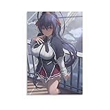 Anime High School DxD Himejima Akeno Poster