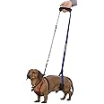 GINGERLEAD Dog Sling Hip Support Harness, X-Small Fits Little Pets Under 25 lbs and Dachshunds with IVDD, Spinal Disc Disease, or Back Injuries. Assist Elderly, Paralyzed, or Recovering Pets.