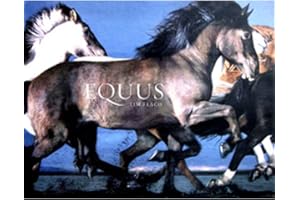 Equus