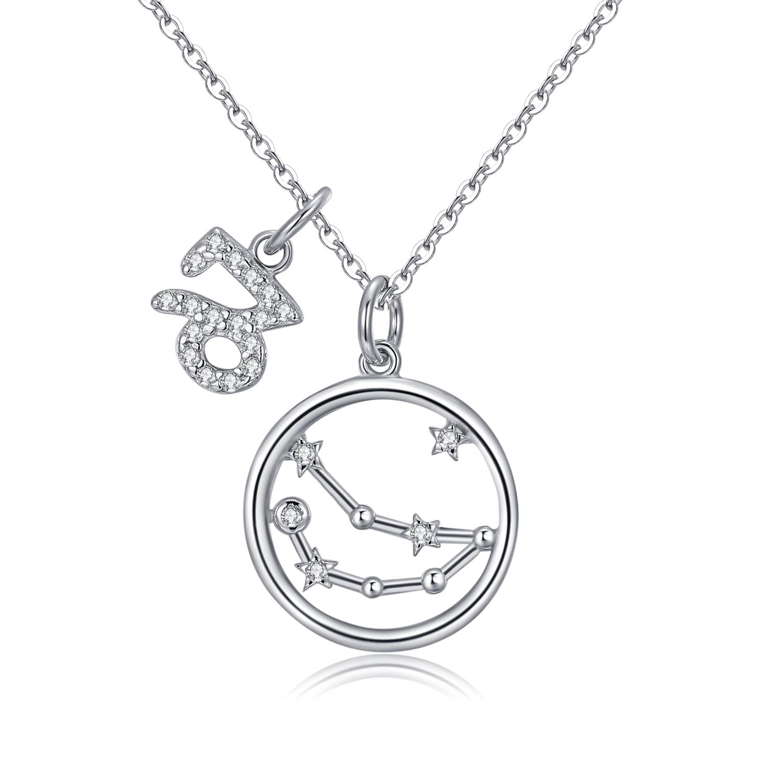 Qings Zodiac Pendant Necklace 925 Sterling Silver Capricorn Delicate Gorgeous Disc Horoscope Necklace Young Adult Personal Gifts