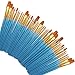 Paint Brushes 50 Pcs, heartybay Nylon Hair Brushes Set Acrylic Blue Round Pointed Paints Brush for Watercolor Oil Painting