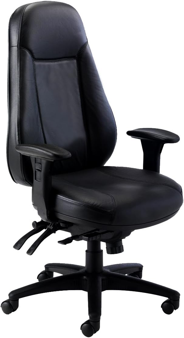 Office Hippo Desk Chair, Ergonomic Heavy Duty Office Chair,Highly Adjustable For Extra Comfort & 24 Hour Daily Use