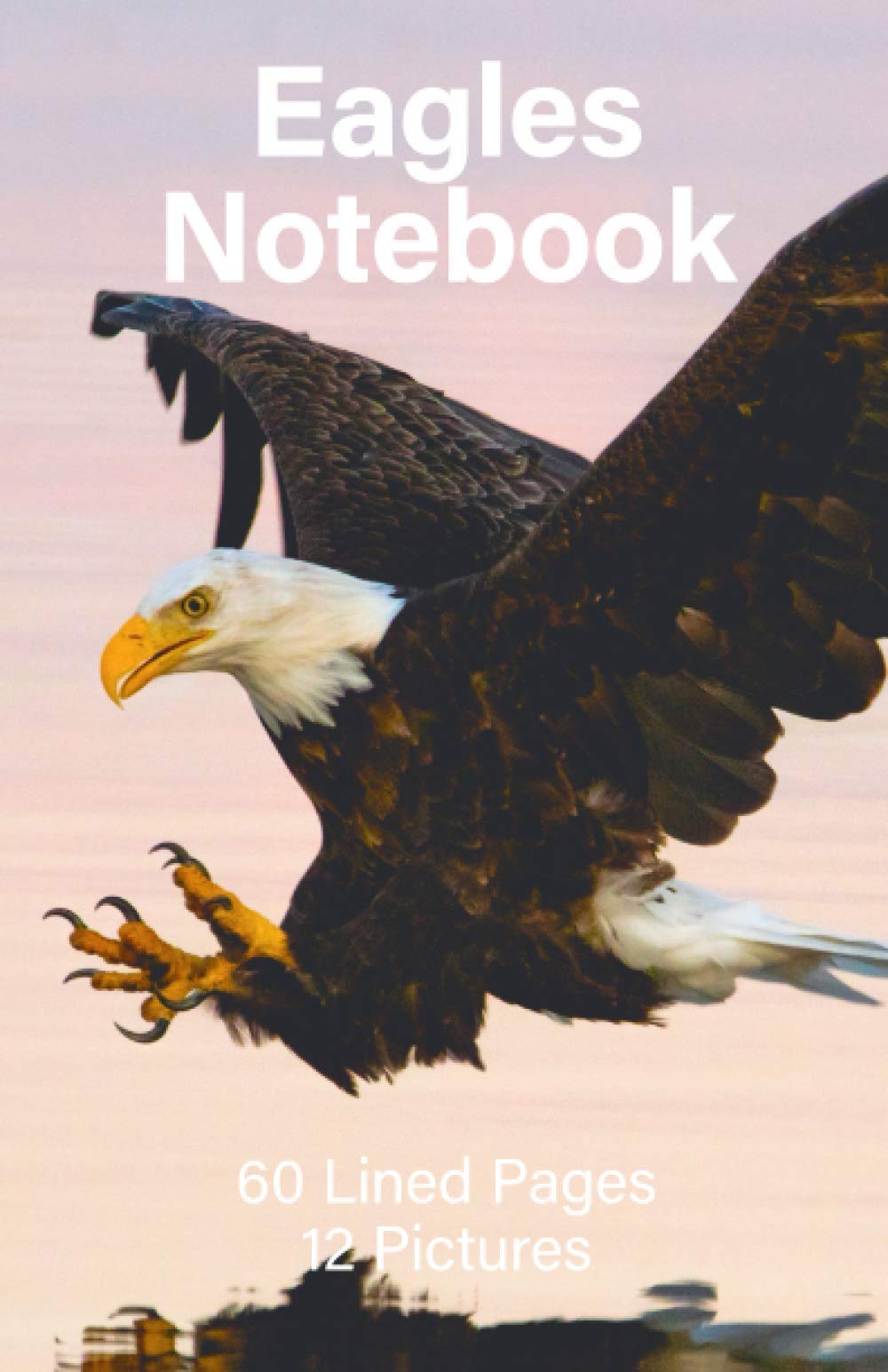 Eagles Notebook: 60 Lined Pages and 12 Eagle Pictures (Cason Notebooks)