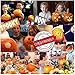 Pumpkin Carving Kit – Stainless Steel Tools with 10 Carving Stencils 2 LED Pumpkin Lights Pumpkin Cutting Supplies Tools Set for kids&adult Stainless Steel Halloween Decoratio Jack-O’-Lantern (39 PCS Luxury Set)