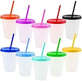 QUYLIXX 20Pcs Plastic Tumblers with Lids and Straws, Reusable Cups with Lids Plastic Colorful Cups for Party Birthday, Iced Coffee Cup Travel Mug Cold Drink Cup (16 oz, Multi Colors)