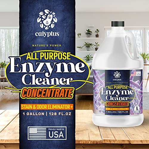 Calyptus All Purpose Concentrated Enzyme Cleaner Pet Stain and Odor
