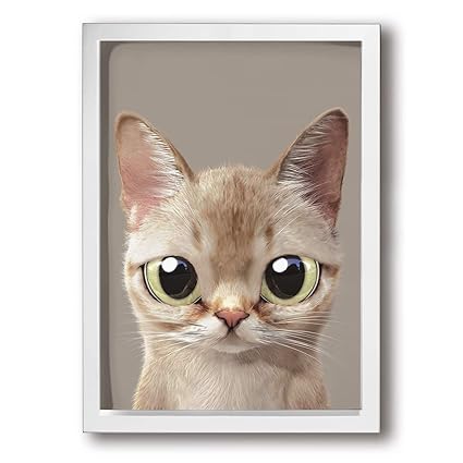 Realshope in Digital Food Thermometer