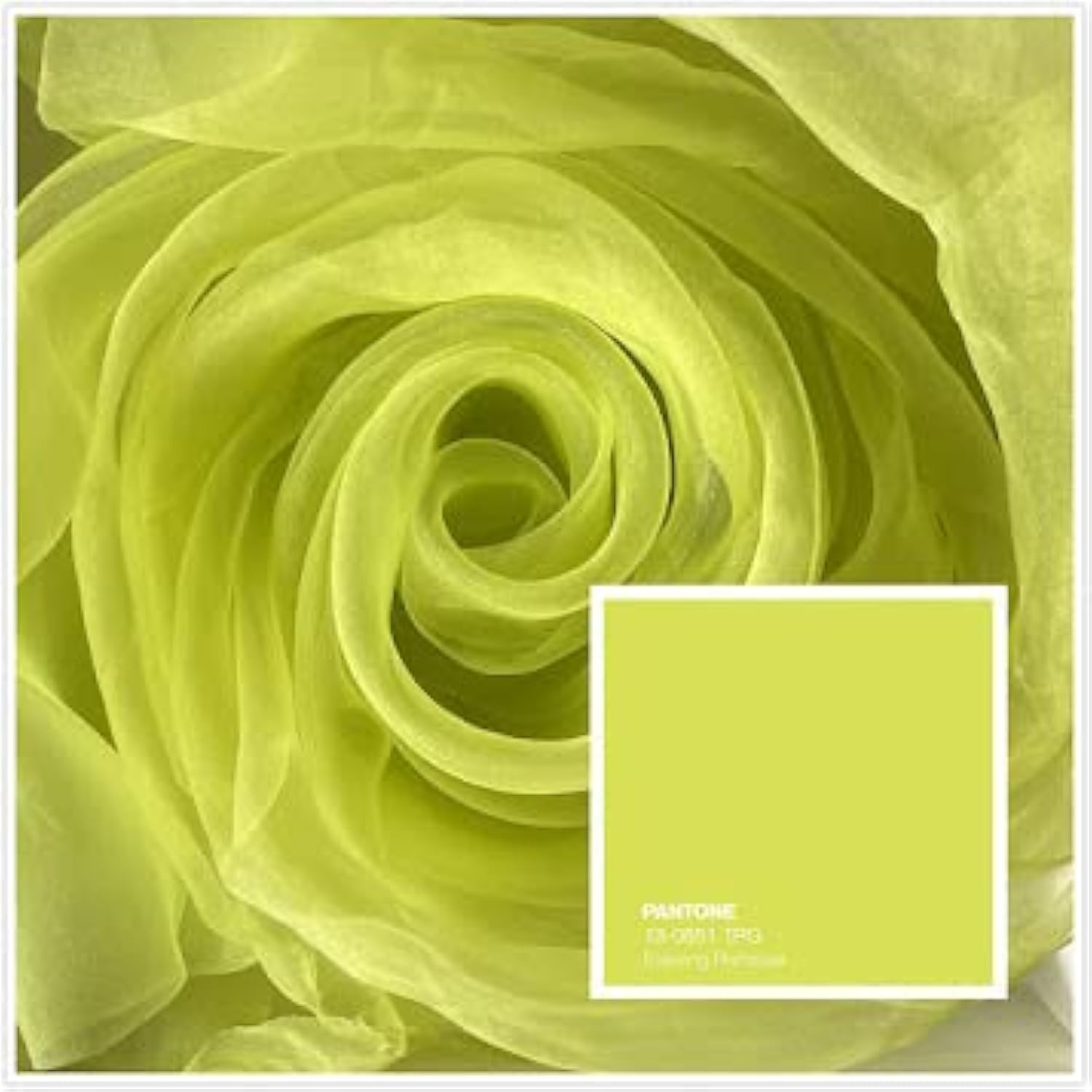 Megachest 145CM Wide Soft Organza Dress Fabric Fancy Costumes Decorations 50 Colors(Evening Primrose,5 Meters)