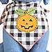 Tail Trends Dog Bandana with Halloween Pumpkin Applique (Large)